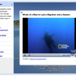 oceanshowcase