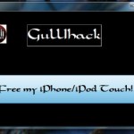 gull1hack12